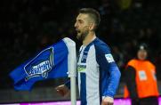 Vedad Ibisevic, Vedad Ibisevic