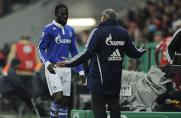 Sarpei vor Bayern - Schalke: So ist Robben zu stoppen