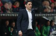 Korkut, Tayfun Korkut, Bayer Leverkusen