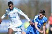 U19: Das packende 2:2 zwischen Bochum und Schalke im Video