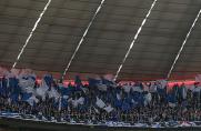 FC Bayern: Schickeria adelt Schalke-Fans