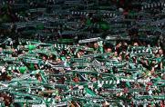 Reime statt Steine: Werder-Ultras reimen gegen RB Leipzig