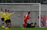 Regionalliga West: WSV ist der erste BVB-Bezwinger