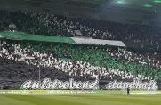 Gladbach-Fans sauer: Reinigungsdienst zerstört Choreo