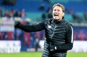 Trainer, 1. Bundesliga, Ralph Hasenhüttl, RB Leipzig, Saison 2016/17, Trainer, 1. Bundesliga, Ralph Hasenhüttl, RB Leipzig, Saison 2016/17