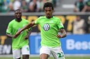 VfL Wolfsburg: Schalke offenbar an Gustavo interessiert