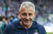 Hansa Rostock: Dotchev übernimmt das Traineramt