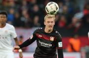 Julian Brandt, Julian Brandt