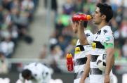 Wuppertaler SV: RWE-Ersatz: Gladbach kommt zum Testspiel