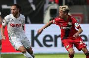 Leverkusen: Kampl will Bayer auf jeden Fall verlassen