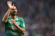 Werder Bremen, 1. Bundesliga, Claudio Pizarro, Saison 2016/17, Werder Bremen, 1. Bundesliga, Claudio Pizarro, Saison 2016/17