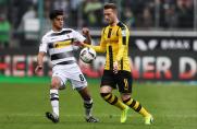 borussia mönchengladbach, Borussia Dortmund, Marco Reus, Mahmoud Dahoud, Saison 2016/17, borussia mönchengladbach, Borussia Dortmund, Marco Reus, Mahmoud Dahoud, Saison 2016/17