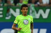 Luiz Gustavo, Luiz Gustavo