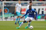 SV Darmstadt 98, Darmstadt, Kamavuaka, SV Darmstadt 98, Darmstadt, Kamavuaka