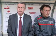 Ottmar Hitzfeld, Schweiz, Saison 2012/2013, Ottmar Hitzfeld, Schweiz, Saison 2012/2013