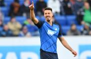 1. Bundesliga, TSG Hoffenheim, Sandro Wagner, Saison 2016/17, 1. Bundesliga, TSG Hoffenheim, Sandro Wagner, Saison 2016/17