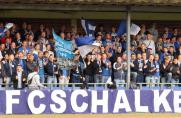 Schalke: Ultras Gelsenkirchen stellen neuen Fangesang vor