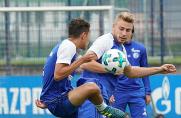 Schalke bestätigt: Platte-Wechsel perfekt