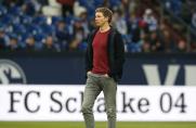 Julian Nagelsmann, Julian Nagelsmann