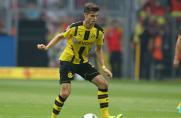 Julian Weigl, Julian Weigl