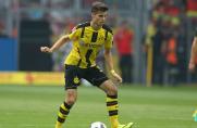 Julian Weigl, Julian Weigl