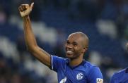 Schalke 04, 1. Bundesliga, Naldo, Saison 2017/18, Schalke 04, 1. Bundesliga, Naldo, Saison 2017/18