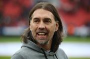 Martin Schmidt, Schmidt, VfL Wolfsburg, Wolfsburg