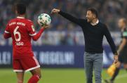 Schalke 04, 1. Bundesliga, Domenico Tedesco, Saison 2017/18, Schalke 04, 1. Bundesliga, Domenico Tedesco, Saison 2017/18