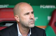 BVB: Bosz traut auch Leipzig und Hoffenheim den Titel zu