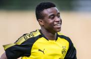 BVB, Borussia Dortmund, U17-Bundesliga, Saison 2017/18, Youssoufa Moukoko, BVB, Borussia Dortmund, U17-Bundesliga, Saison 2017/18, Youssoufa Moukoko