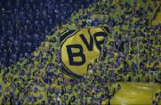 BVB-Fans, BVB-Fans