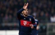 Tolisso, Tolisso