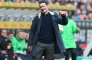 Eintracht Frankfurt, Niko Kovac, Eintracht Frankfurt, Niko Kovac