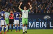 Mario Gomez, Mario Gomez