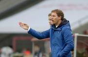 Julian Nagelsmann, Julian Nagelsmann