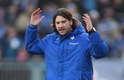 Torsten Frings, 1. Bundesliga, SV Darmstadt 98, Saison 2016/17, Torsten Frings, 1. Bundesliga, SV Darmstadt 98, Saison 2016/17