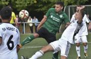 SV Horst-Emscher 08, Landesliga Westfalen III