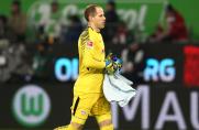 Peter Gulacsi, Peter Gulacsi