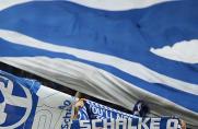 Schalke: Ultras präsentieren VfB-Fahnen