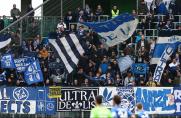 Darmstadt-Fans, Darmstadt-Fans