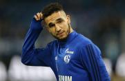 Bundesliga: Schalke baut Bentaleb eine Brücke zur Rückkehr