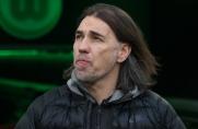 Wolfsburg: Martin Schmidt ist nicht mehr Trainer des VfL