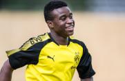 BVB, Borussia Dortmund, U17-Bundesliga, Saison 2017/18, Youssoufa Moukoko, BVB, Borussia Dortmund, U17-Bundesliga, Saison 2017/18, Youssoufa Moukoko