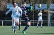 Spvgg. Sterkrade-Nord, Landesliga Niederrhein II.