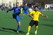 SSVg Velbert, Oberliga Niederrhein.