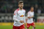 Werner träumt von England: "Bin mehr ManU als Liverpool"