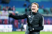 Trainer, 1. Bundesliga, Ralph Hasenhüttl, RB Leipzig, Saison 2016/17, Trainer, 1. Bundesliga, Ralph Hasenhüttl, RB Leipzig, Saison 2016/17