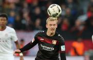 Julian Brandt, Julian Brandt