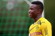 BVB-U17: Moukoko glänzt gegen MSV auch als Einwechselspieler