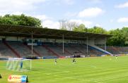 Arena, Westfalia Herne, Herne, SC Westfalia Herne, Schloss Strünkede, Stadion Am Schloss Strünkede, Saison 2012 / 2013, Herne - Neuenkirchen, Abisol Arena, Abisol, Stadion Herne, Herne-Neuenkirchen, Arena, Westfalia Herne, Herne, SC Westfalia Herne, Schlo